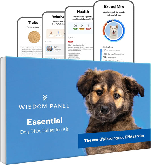 Wisdom Panel Essential Dog DNA Kit Most Accurate Test