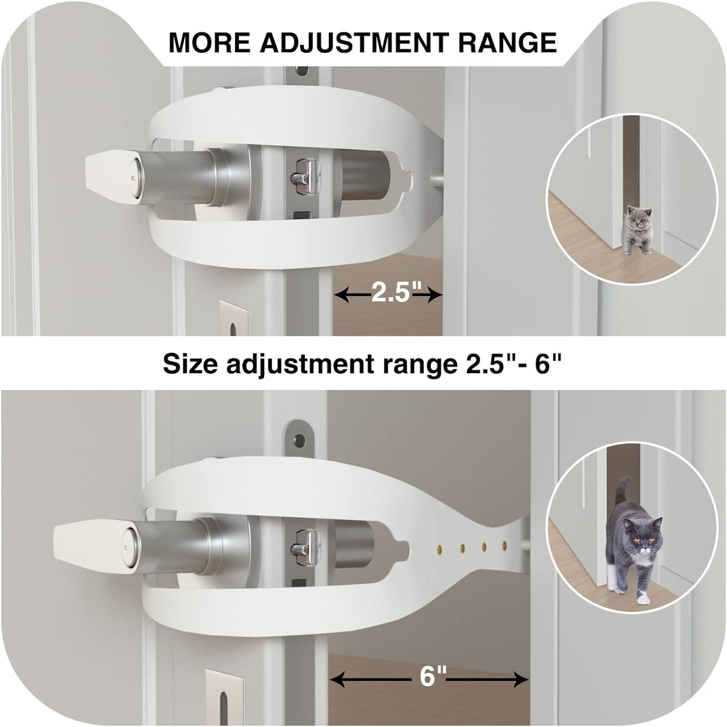  Latch Larger Cat Door Alternative to Keep Dogs Out  