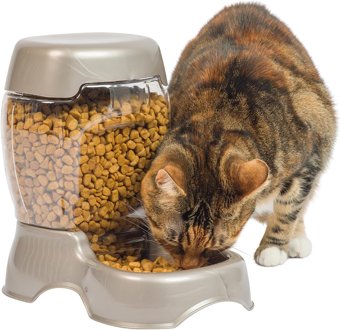 Pet Cafe Feeder Dog and Cat Feeder Pearlescent Colors 3 Sizes