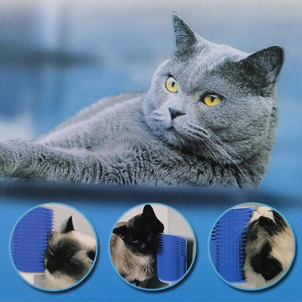 2 Pack Softer Self Groomer with Catnip Wall Corner Massage  