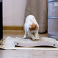  Cardboard Cat Scratch Pad with Premium Scratch 