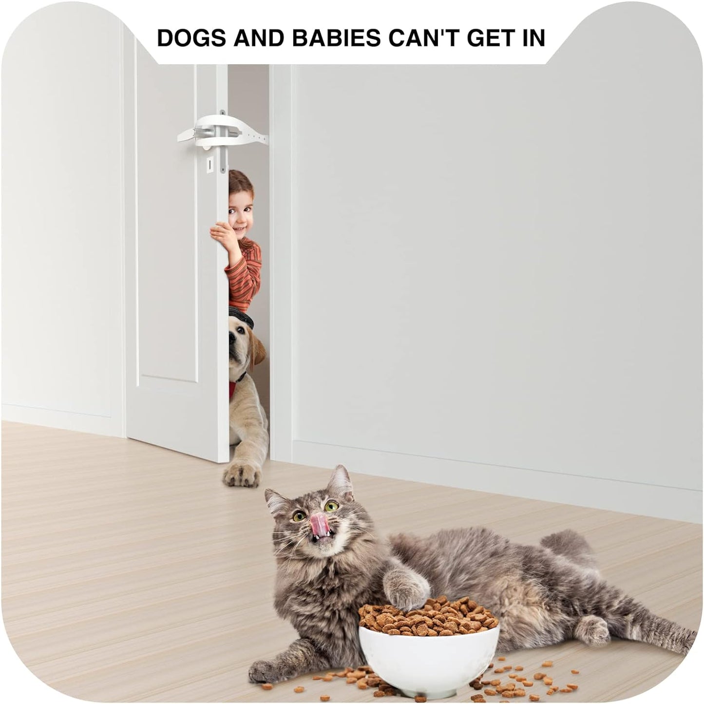  Latch Larger Cat Door Alternative to Keep Dogs Out  