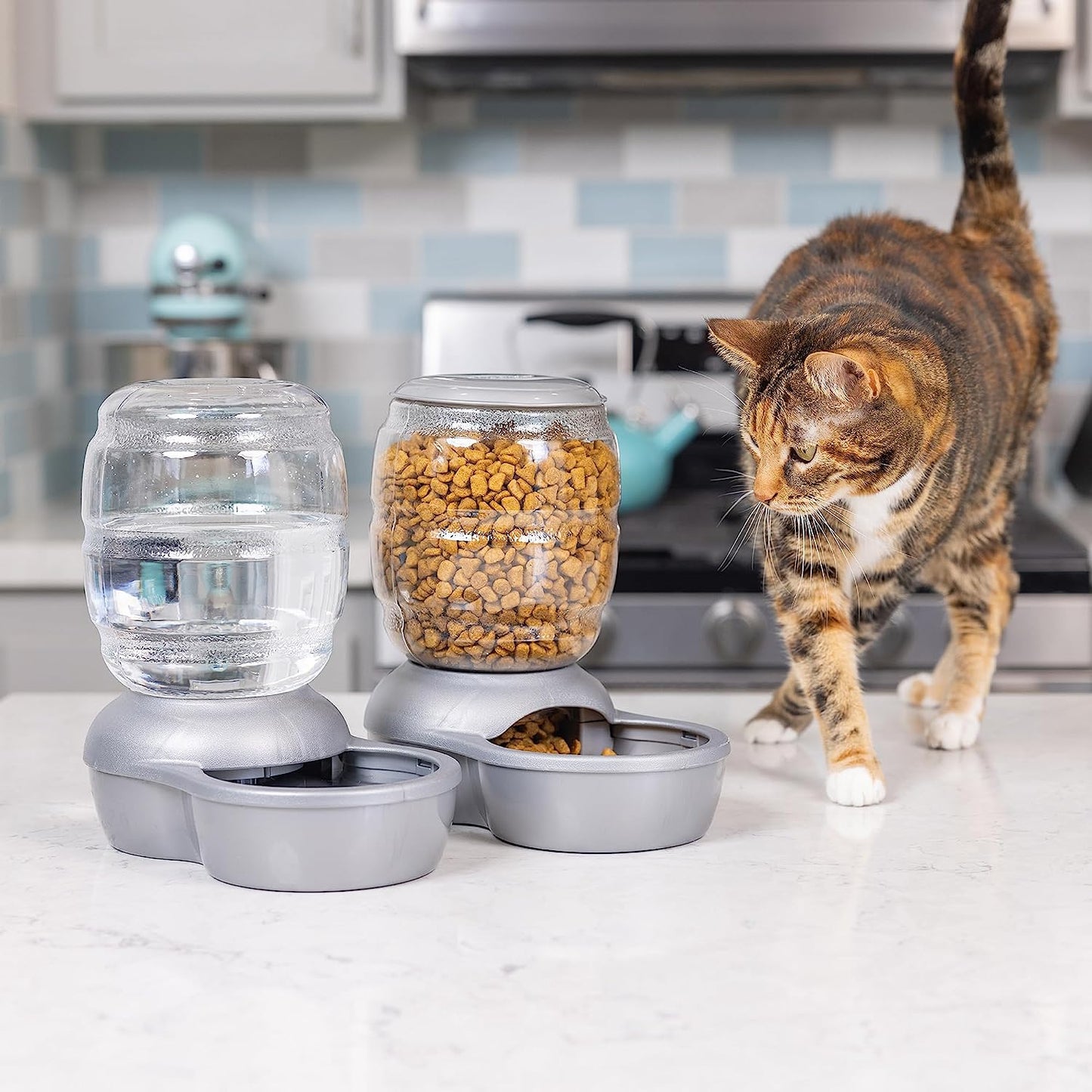 Replendish Automatic Gravity Waterer for Cats and Dogs