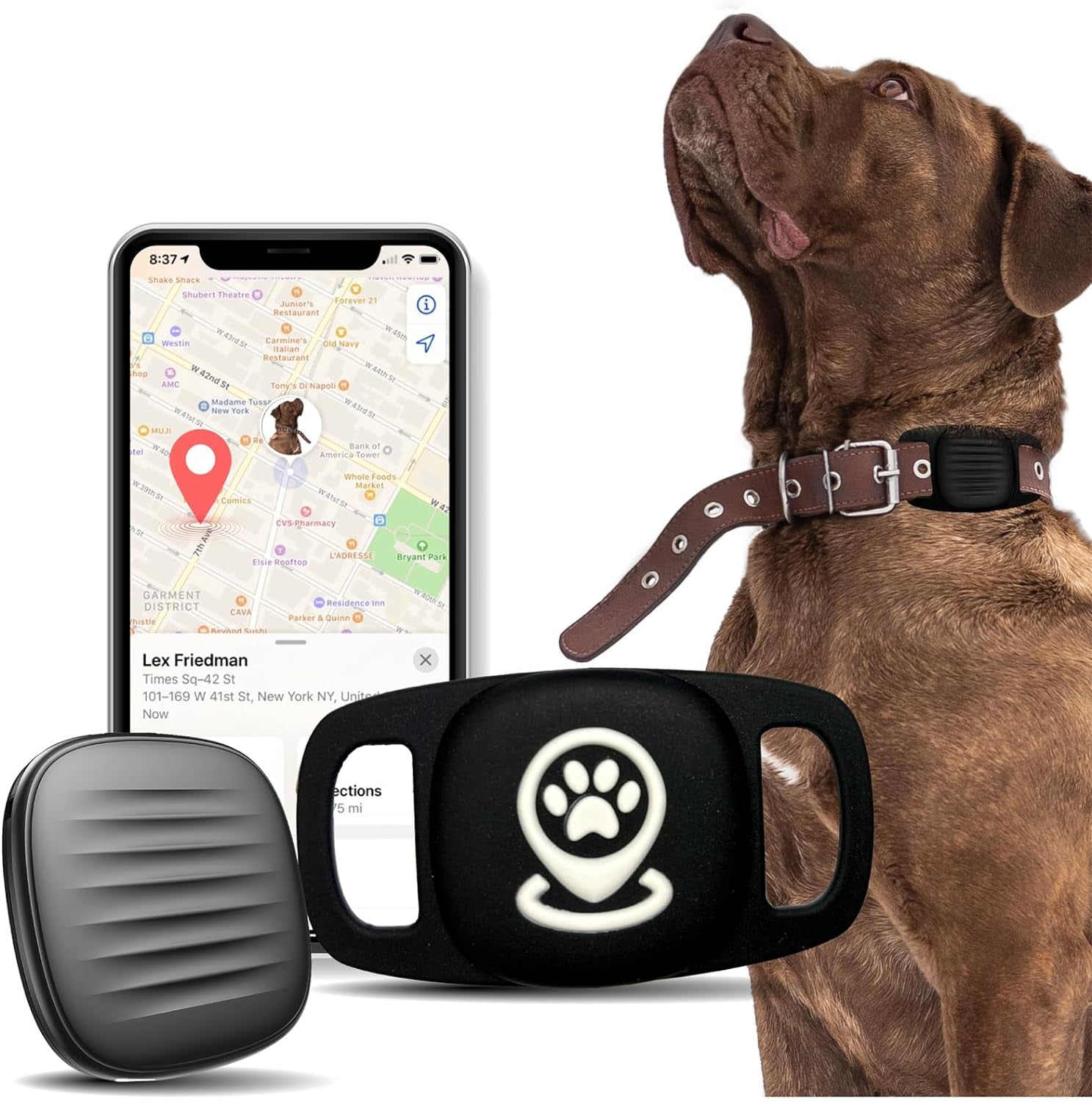 Dog Tracker Smart Pet Location Tracker with Collar Holder