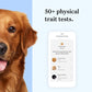 Wisdom Panel Essential Dog DNA Kit Most Accurate Test