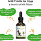 Milk Thistle for Dogs Supports Liver Health Protects Liver Glycerin