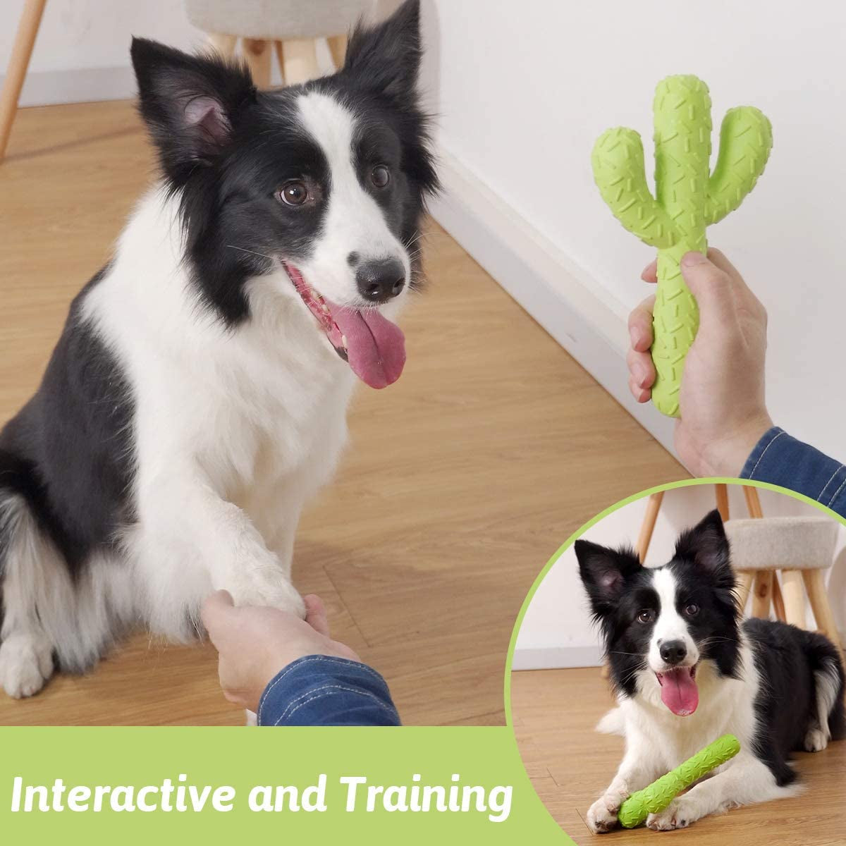  Tough Rubber Dog Toys for Aggressive Chewers