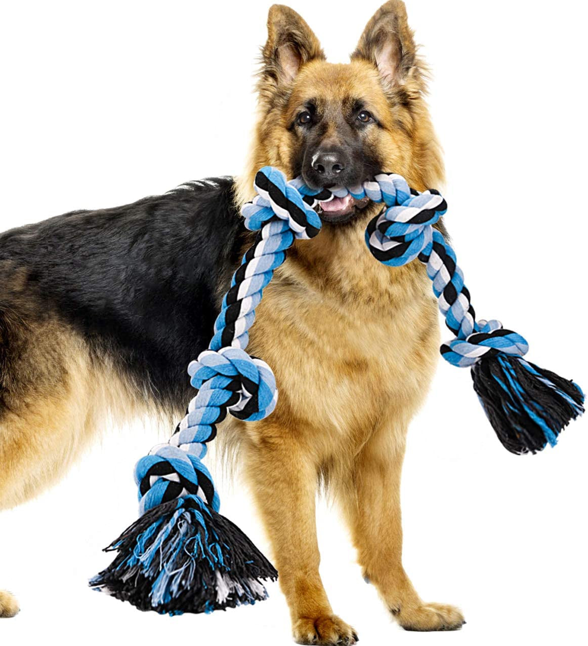  Toys for Aggressive Chewers Heavy Duty Dog Toys