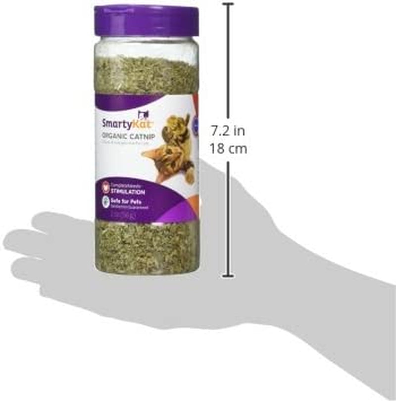 Catnip for Cats & Kittens, Shaker Canister 2 Ounces