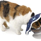 Soft Cat Cone Adjustable Cat Recovery Collar after Surgery 