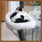 Cat Window Perch 100% Metal Supported from below