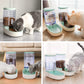 Automatic Dog Cat Feeder and Water Dispenser Gravity Food  