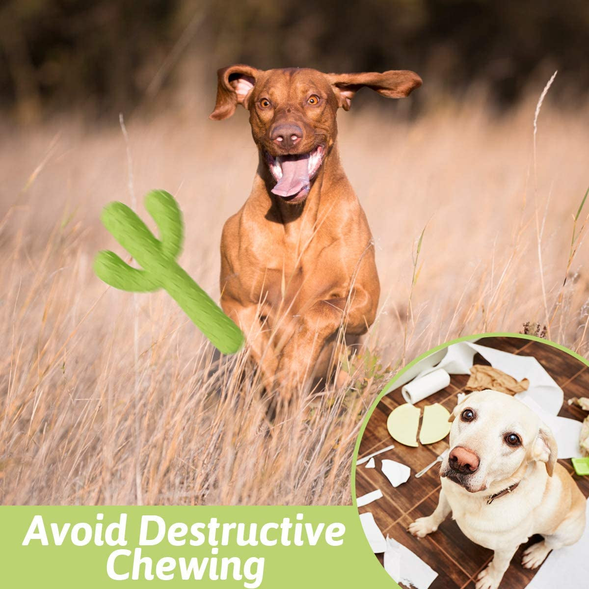  Tough Rubber Dog Toys for Aggressive Chewers