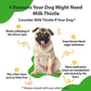 Milk Thistle for Dogs Supports Liver Health Protects Liver Glycerin