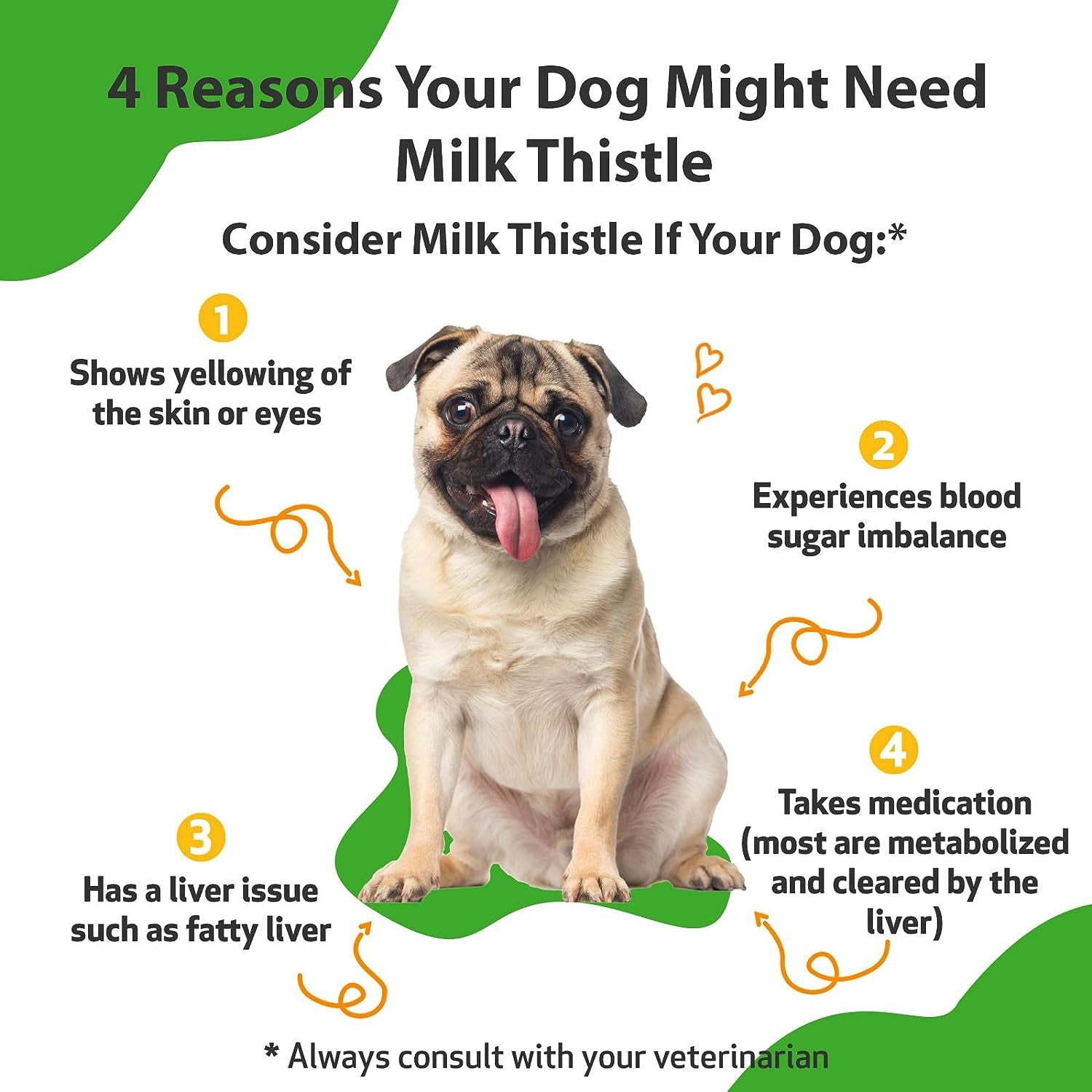 Milk Thistle for Dogs Supports Liver Health Protects Liver Glycerin