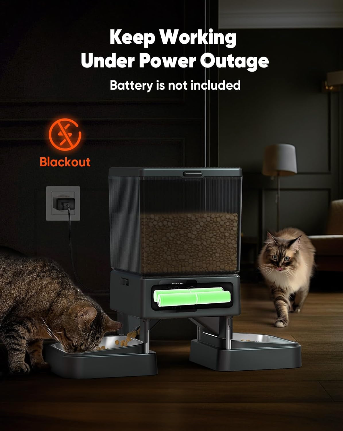  Automatic Cat Food Dispenser for Small Pets Indoor