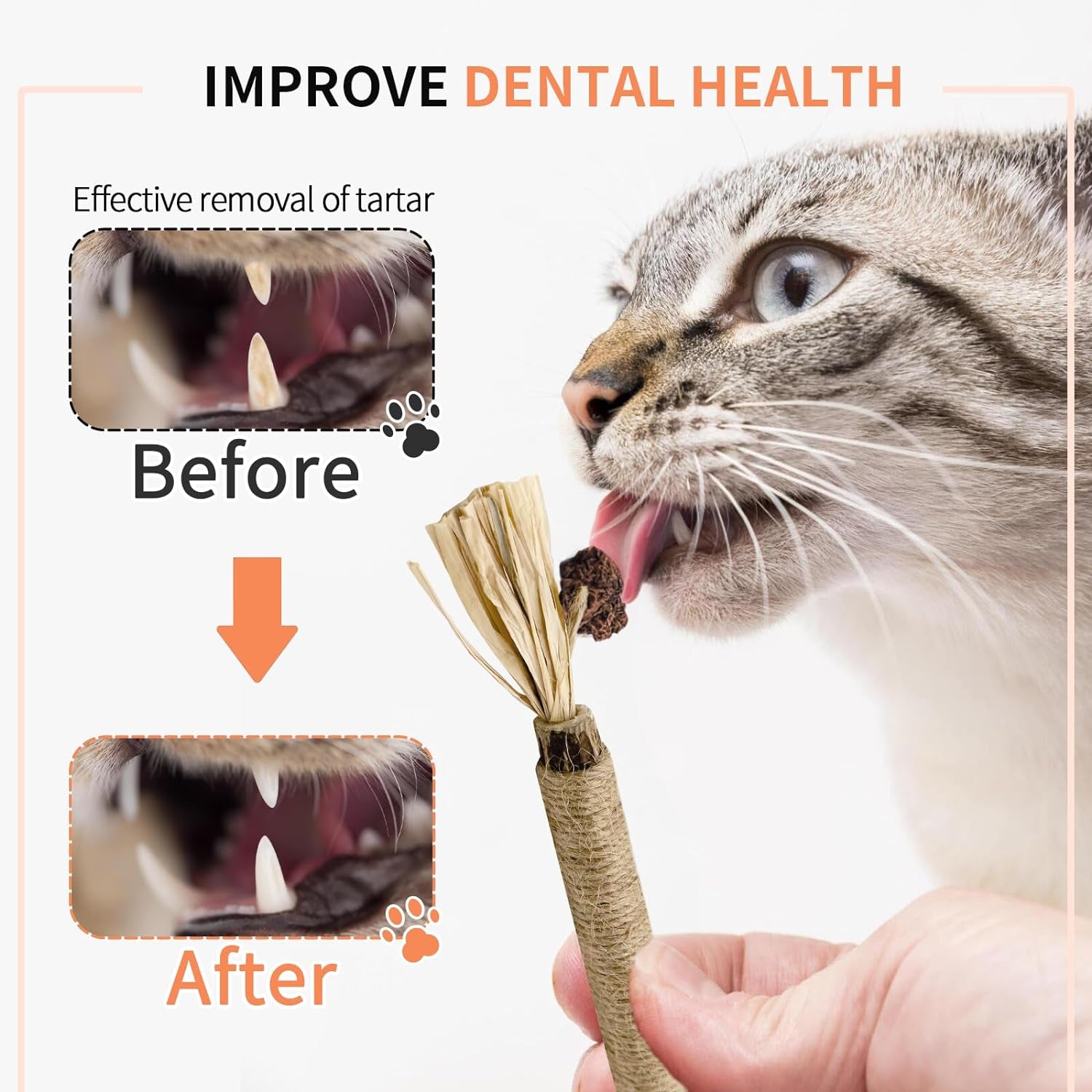  Cat Chew Toy for Kitten Teething, Interactive Cat Toy 