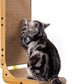  26.8 Inch Cat Scratchers for Indoor Cats Protecting Furniture 