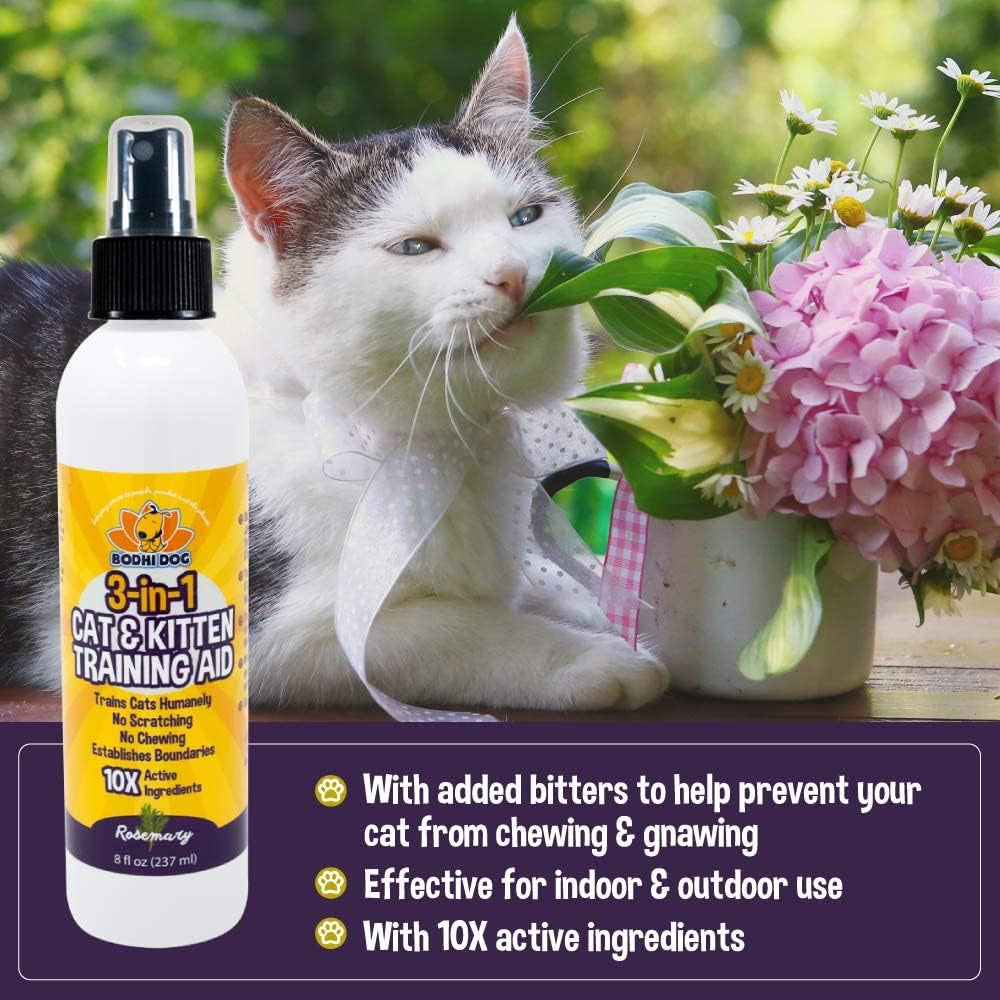  Cat Deterrent Spray for Indoor and Outdoor Use Cat Repellent 