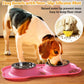  Pet Food Scoop Water and Food Feeder Bowls 