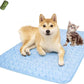 Summer Cooling Mat  Sleeping Pad  Water Absorption 