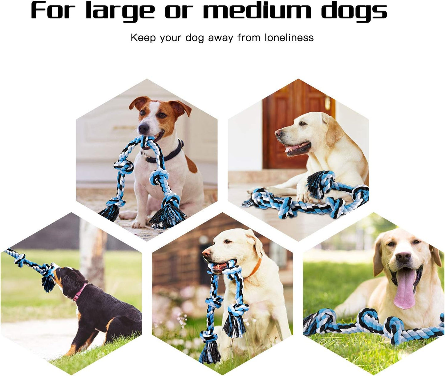  Toys for Aggressive Chewers Heavy Duty Dog Toys