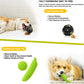  Puppy Chew Toys for Fun and Teeth Cleaning 