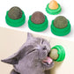  Edible Kitten Silvervine Toys for Cats Lick Healthy Kitty 