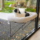 Cat Window Perch 100% Metal Supported from below