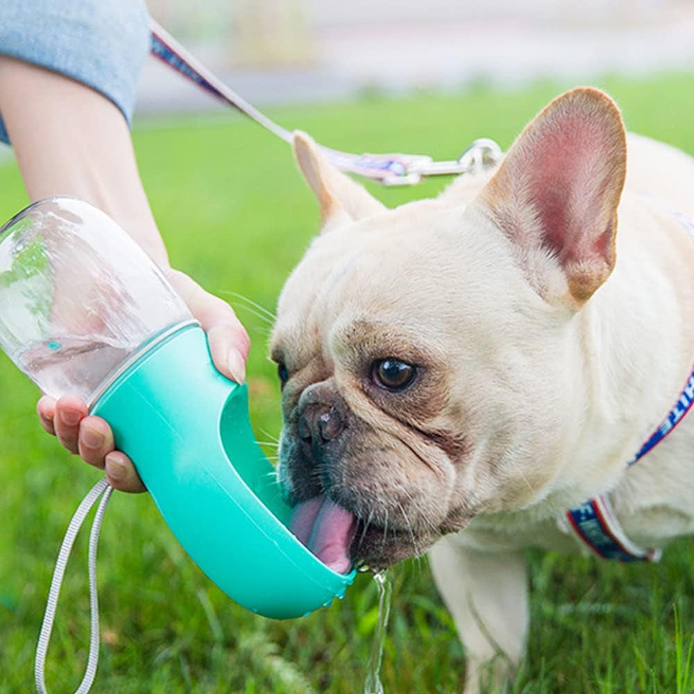 Leak Proof Portable Puppy Water Dispenser with Drinking