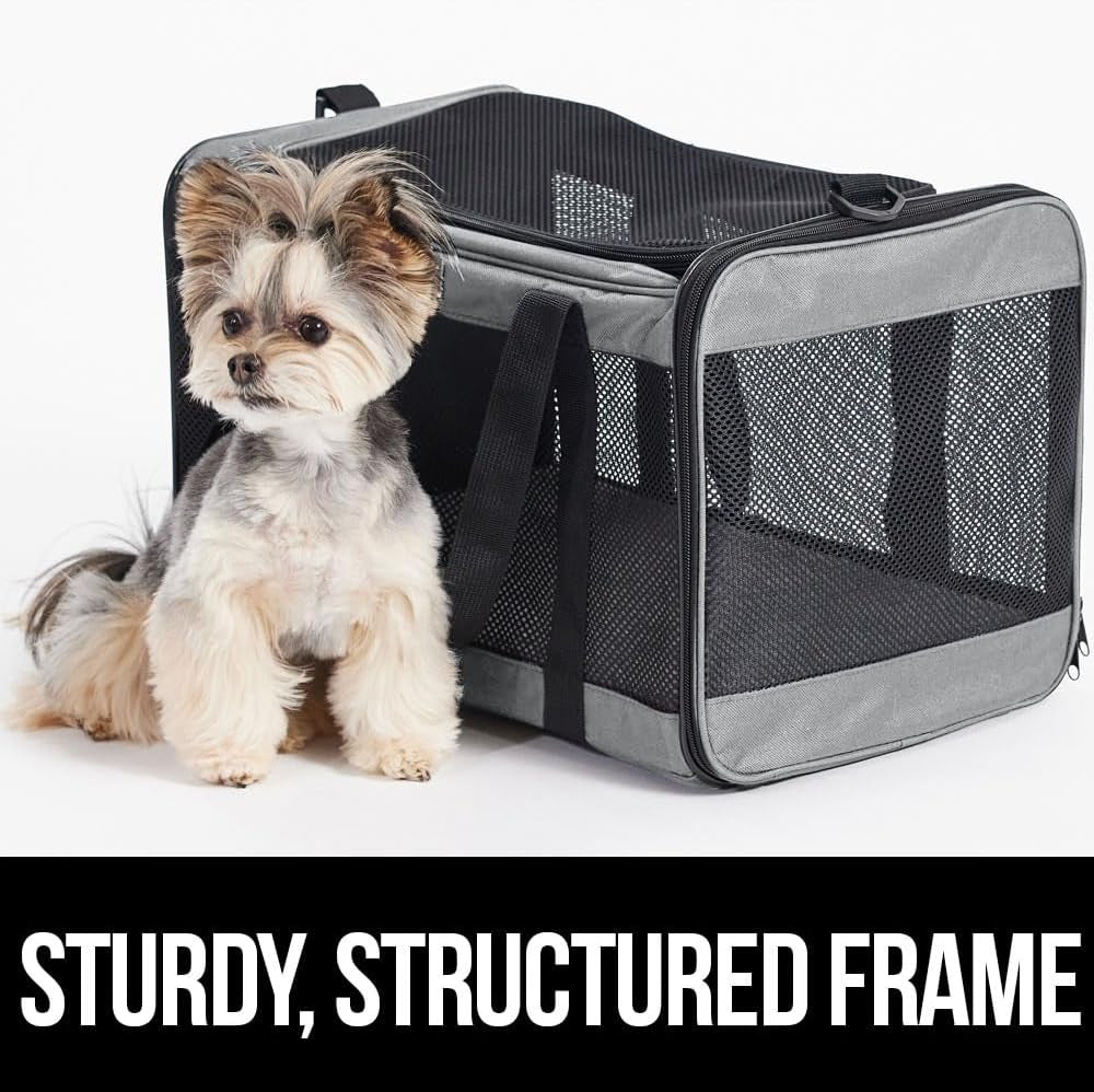  Breathable Mesh Collapsible Pet Carriers for Small Medium Cats