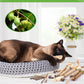  12 Pack Natural Silvervine Sticks for Kittens Teeth Cleaning