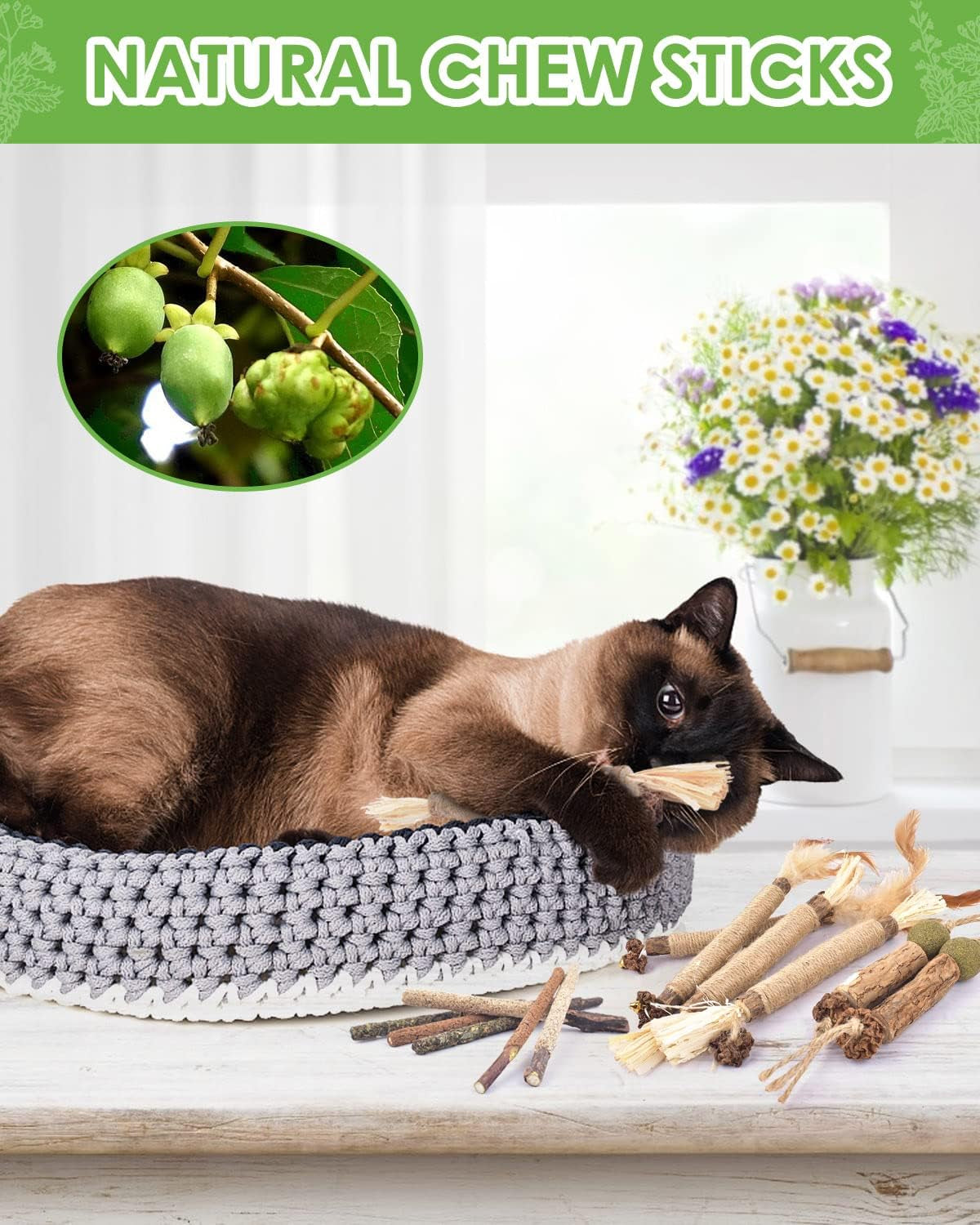  12 Pack Natural Silvervine Sticks for Kittens Teeth Cleaning