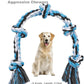  Toys for Aggressive Chewers Heavy Duty Dog Toys