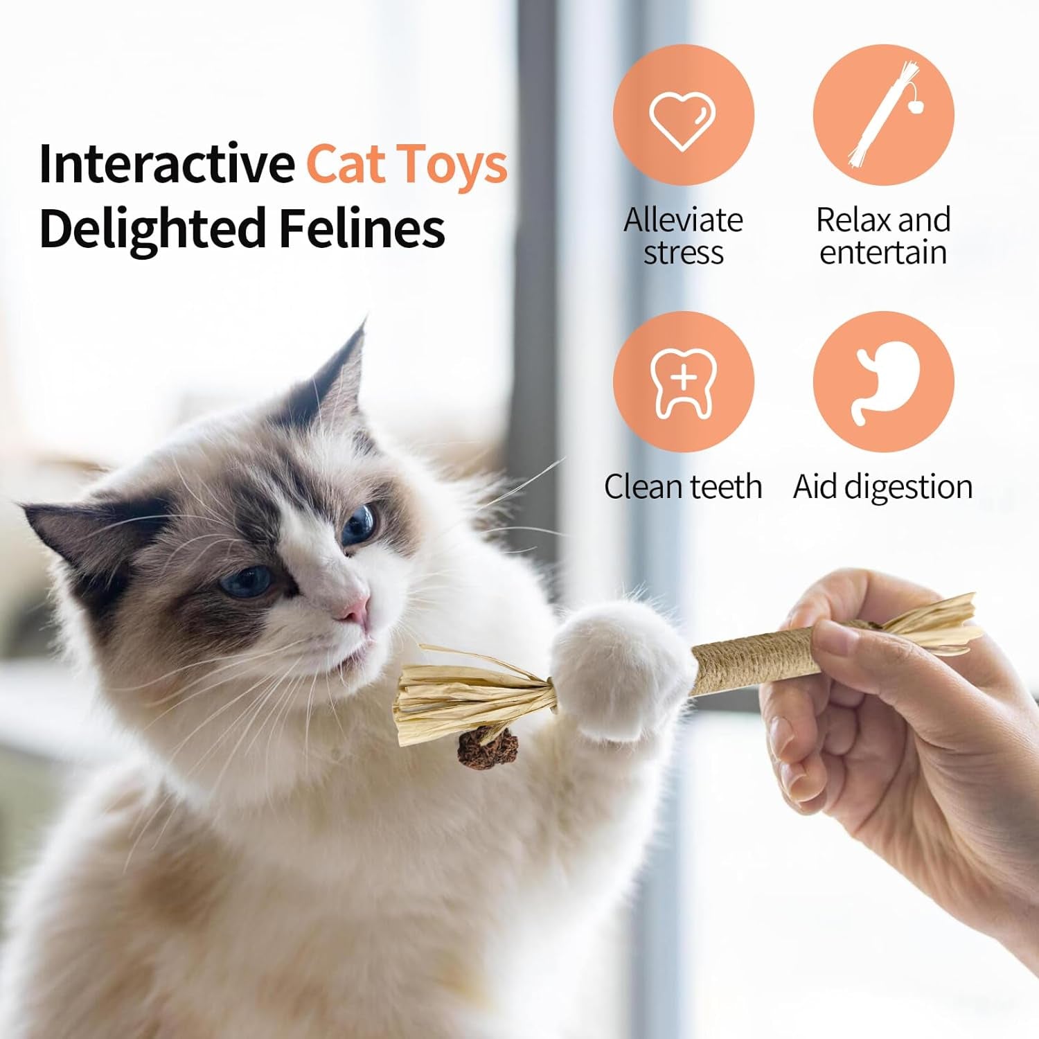  Cat Chew Toy for Kitten Teething, Interactive Cat Toy 