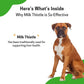 Milk Thistle for Dogs Supports Liver Health Protects Liver Glycerin