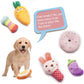 Puppy Squeaky Dog Toys Cute Variety Colors Designs 