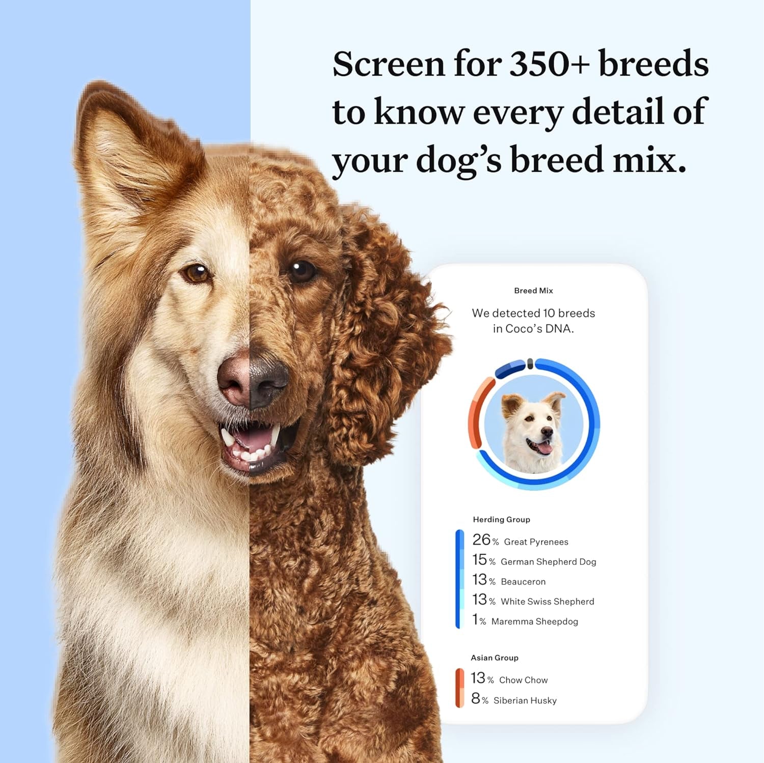 Wisdom Panel Essential Dog DNA Kit Most Accurate Test