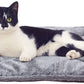 Thermanap Self Warming Cat Bed for Indoor Cats & Small Dogs