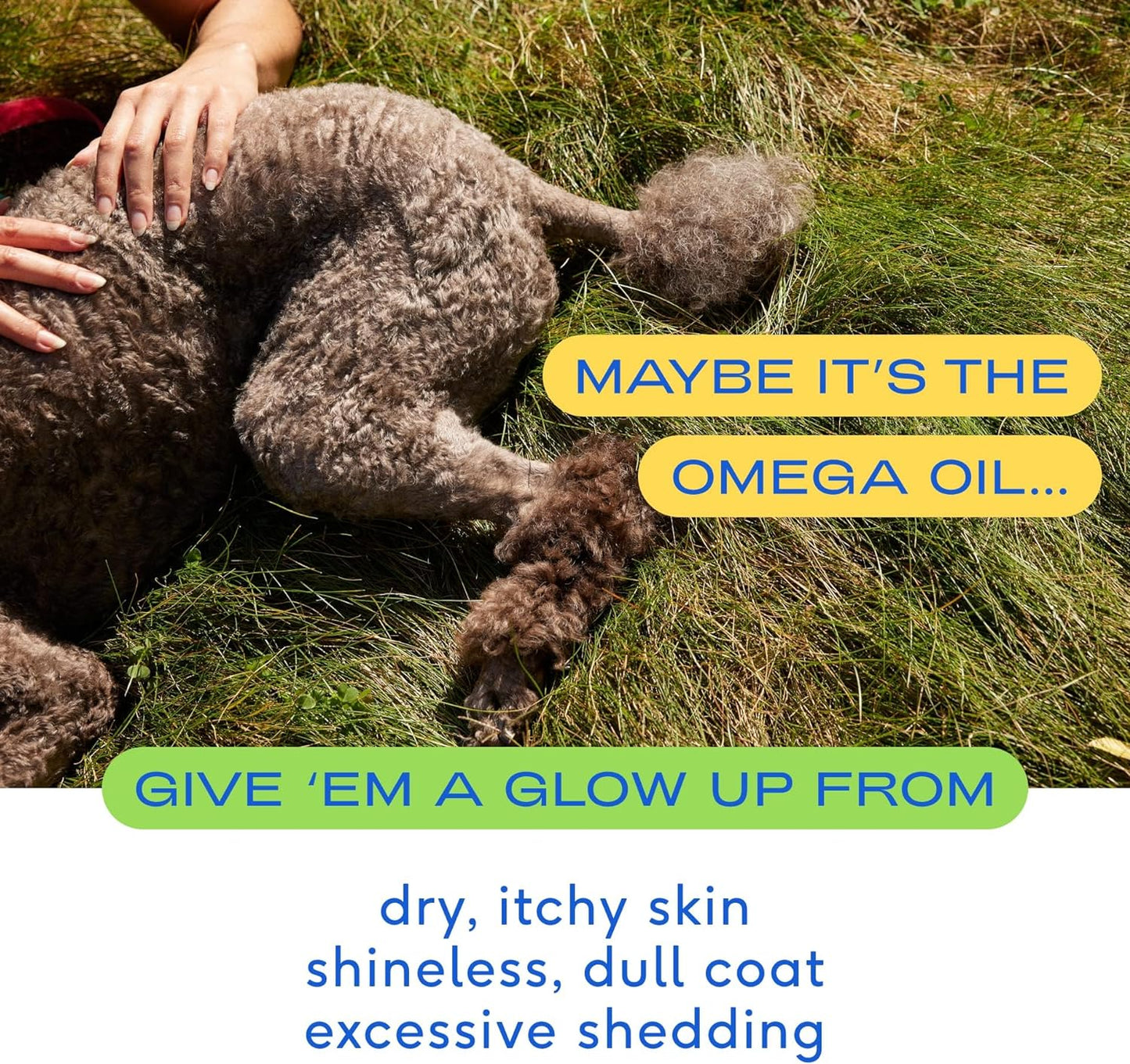  Made with Wild Alaskan Salmon Oil for Dogs with Omega 