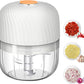 Electric Garlic Chopper Mini Portable Veggie Chopper 250ML Garlic Grinder Masher Onion Choppe