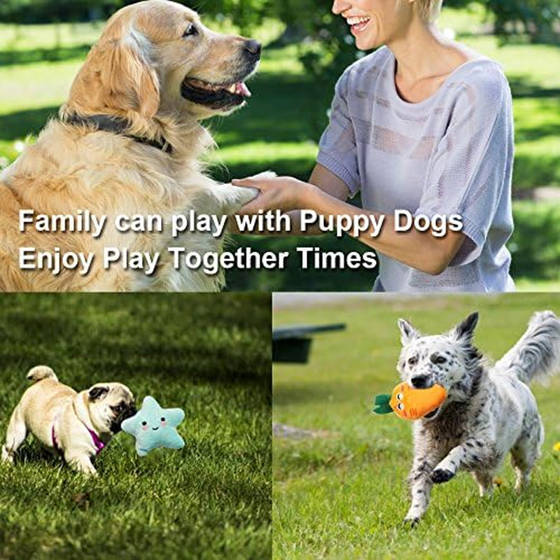 Puppy Squeaky Dog Toys Cute Variety Colors Designs 