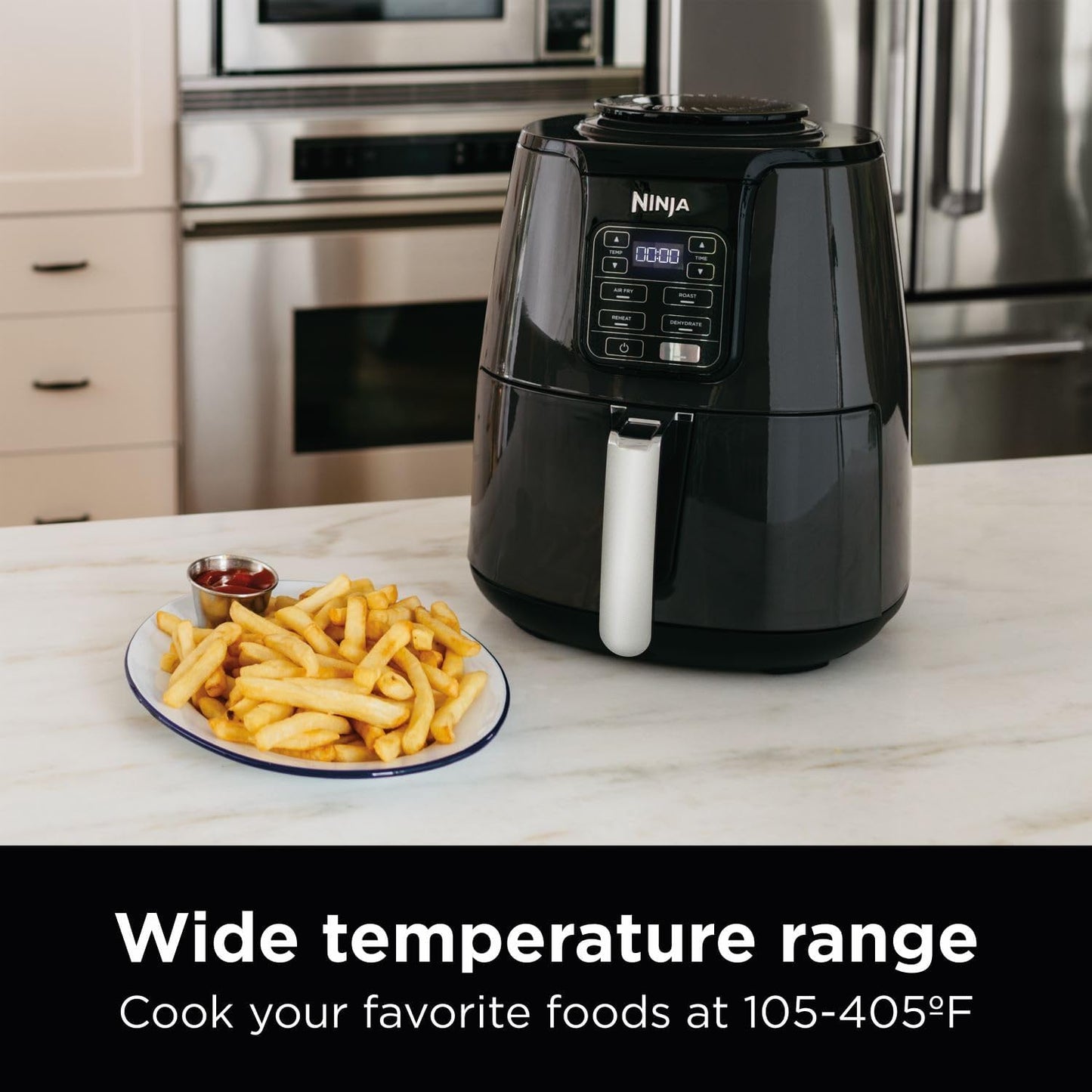 AF101 Air Fryer That Crisps Roasts Reheats Dehydrates