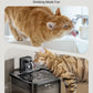 Fursink Wireless Pet Water Fountain for Cats Inside Automatic 