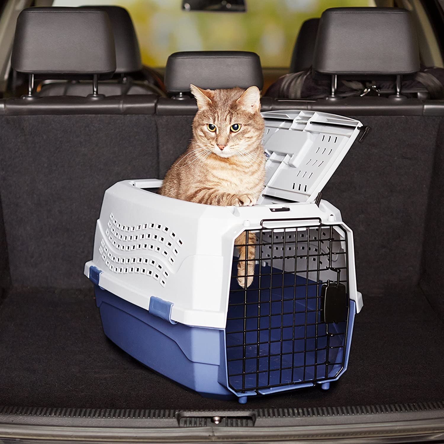  2 Door Top Load Hard Sided Dogs Cats Pet Travel Carrier 