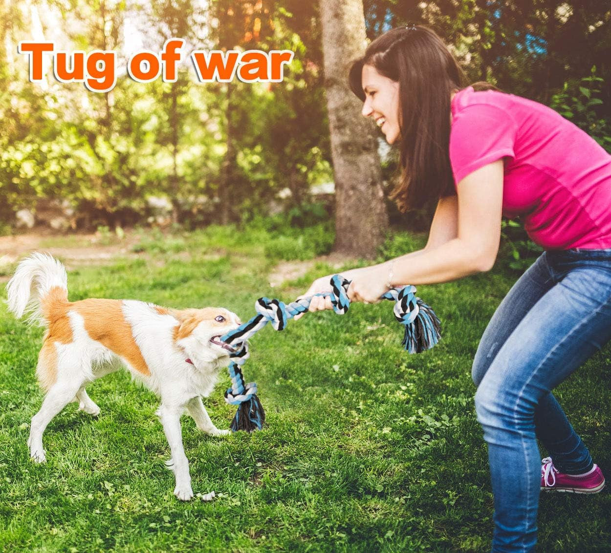  Toys for Aggressive Chewers Heavy Duty Dog Toys