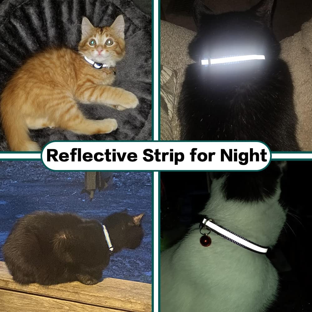 Reflective Kitten Collar with Apple Air Tag Holder 